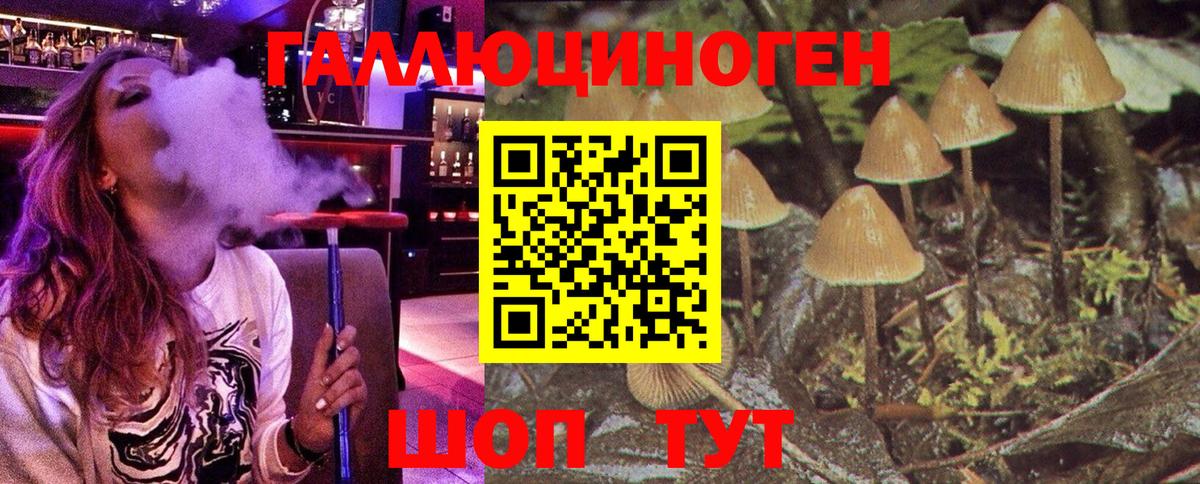 Псилоцибиновые грибы ЛСД Алексеевка