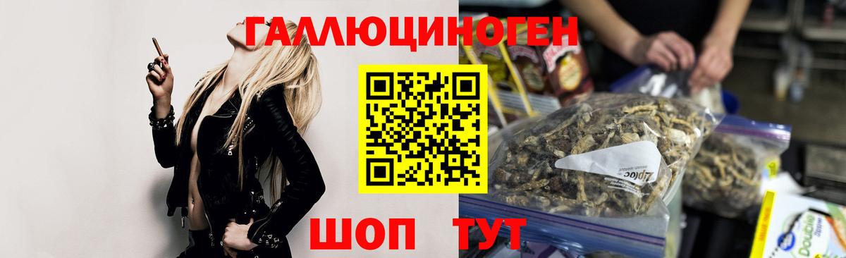 Алексеевка  Псилоцибиновые грибы мицелий  Вход с VPN 