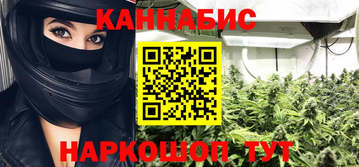 Бошки марихуана SATIVA & INDICA Алексеевка